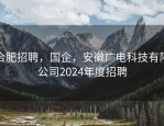 合肥招聘，国企，安徽广电科技有限公司2024年度招聘