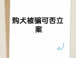 网购灵缇遭遇骗局：徐先生订购灵缇却收到其他品种，警惕宠物交易陷阱