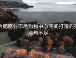合肥商业市场购物中心空间打造的亮点与不足