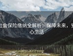 社会保险缴纳全解析：保障未来，安心生活