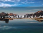 人力资源信息系统数据表解析与应用