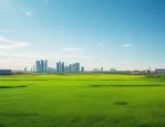 全国人大代表孙春梅：返乡创业发展生态农业，两会建言助力三农