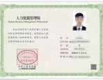 企业人力资源管理师证书：含金量高、行业适配度广的万金油职业认证