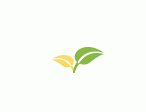 合肥市幼儿师范教育中心2024年教师招聘公告