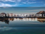 2024 年度黑龙江人才周公开招聘 12 人，条件、程序看这里