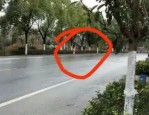 峄城区城管群殴女子事件真相调查：只因一句话引发冲突