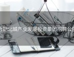 合肥北城产业发展投资集团招聘公告