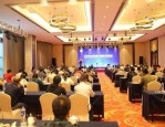 2021年合肥市中小学心理危机识别与干预专题培训圆满结束，专家云集内容丰富