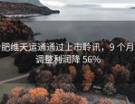 合肥维天运通通过上市聆讯，9 个月经调整利润降 56%