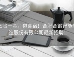 五险一金，包食宿！合肥合锻智能制造股份有限公司最新招聘！