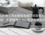 2024 年 1 月安徽省各城市财政收入表现：合肥增速乏力，芜湖表现良好