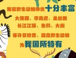 野生江豚现身长江干线铜陵铁锚洲外江，新版医保药品目录安徽启用