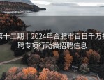 第十二期｜2024年合肥市百日千万招聘专项行动微招聘信息