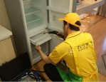 家电以旧换新行动方案实施，旧家电回收难题如何破解？