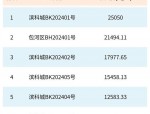 合肥2024年土拍收官，179亿元创纪录，红四方地块楼面价突破2.5万