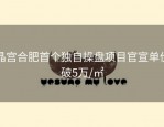 晶宫合肥首个独自操盘项目官宣单价破5万/㎡