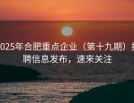 2025年合肥重点企业（第十九期）招聘信息发布，速来关注