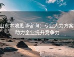 山东本地思博咨询：专业人力方案，助力企业提升竞争力