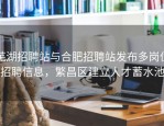芜湖招聘站与合肥招聘站发布多岗位招聘信息，繁昌区建立人才蓄水池