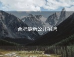 合肥最新公开招聘