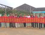 合肥投资：从荒地到产业投资样板的惊人跃迁
