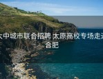 大中城市联合招聘 太原高校专场走进合肥