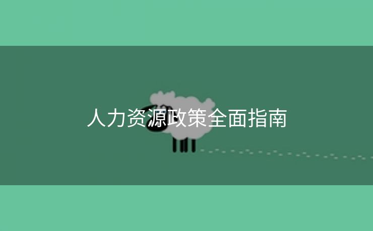 人力资源政策全面指南 人力资源政策全面指南