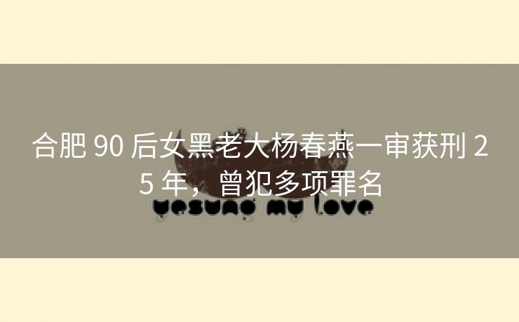 合肥 90 后女黑老大杨春燕一审获刑 25 年,曾犯多项罪名 合肥 90 后女黑老大杨春燕一审获刑 25 年,曾犯多项罪名