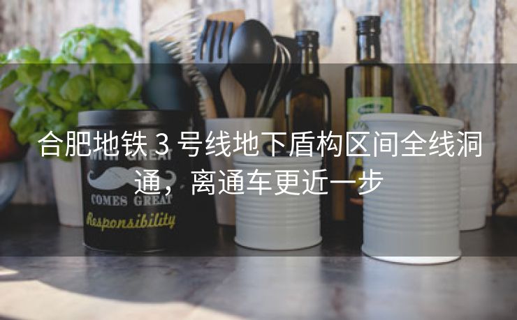 合肥地铁 3 号线地下盾构区间全线洞通,离通车更近一步 合肥地铁 3 号线地下盾构区间全线洞通,离通车更近一步