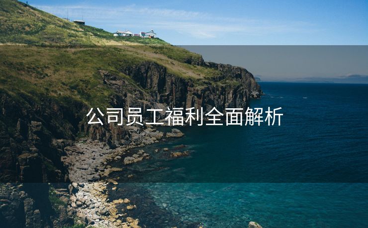 公司员工福利全面解析 公司员工福利全面解析
