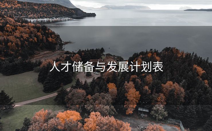 人才储备与发展计划表 人才储备与发展计划表
