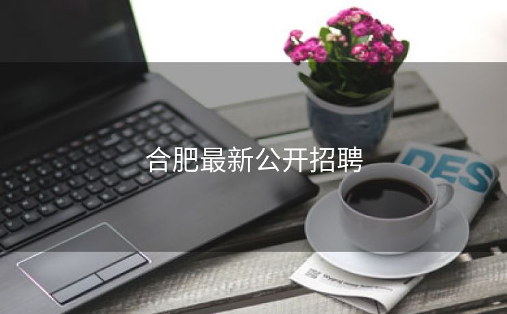 合肥最新公开招聘 合肥最新公开招聘