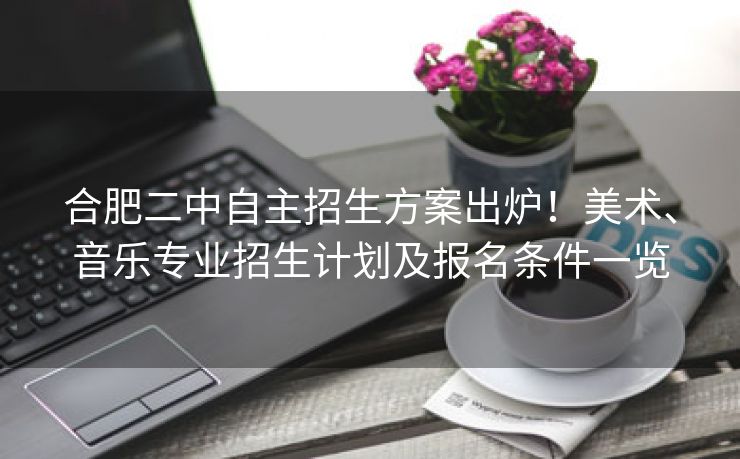 合肥二中自主招生方案出炉!美术、音乐专业招生计划及报名条件一览 合肥二中自主招生方案出炉!美术、音乐专业招生计划及报名条件一览