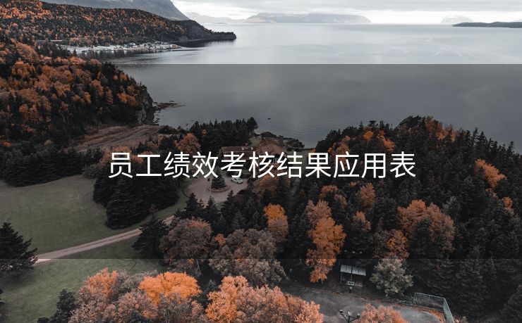 员工绩效考核结果应用表 员工绩效考核结果应用表