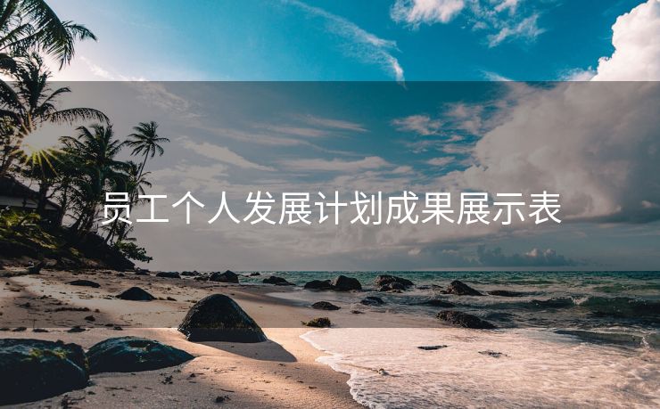 员工个人发展计划成果展示表 员工个人发展计划成果展示表