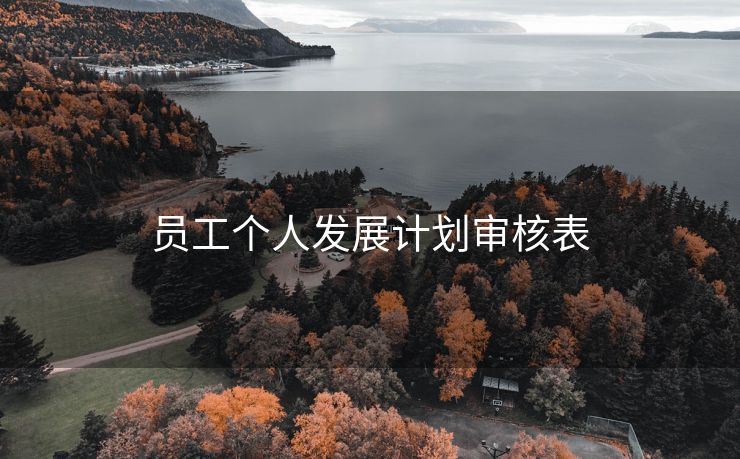 员工个人发展计划审核表