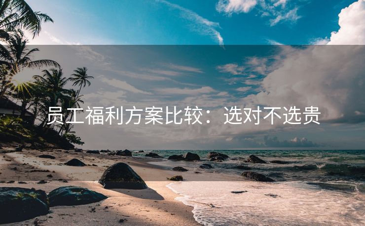 员工福利方案比较:选对不选贵 员工福利方案比较:选对不选贵