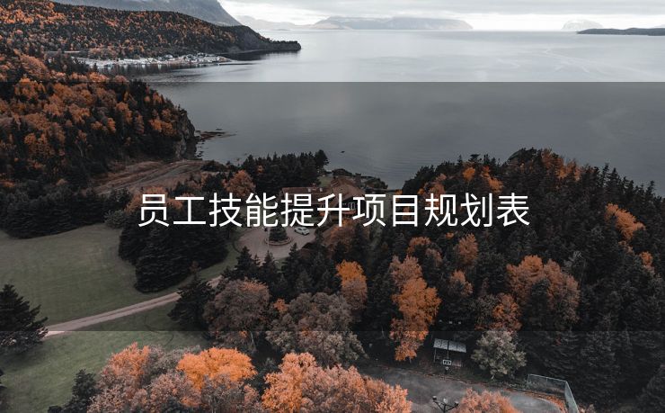 员工技能提升项目规划表