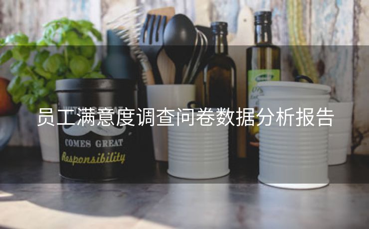 员工满意度调查问卷数据分析报告