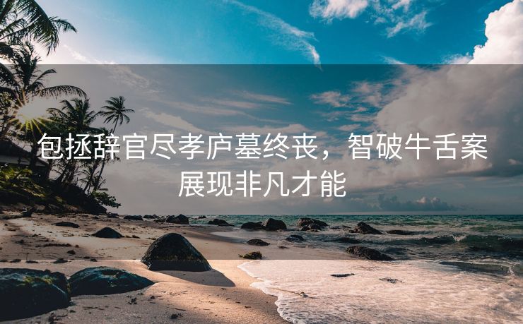 包拯辞官尽孝庐墓终丧，智破牛舌案展现非凡才能