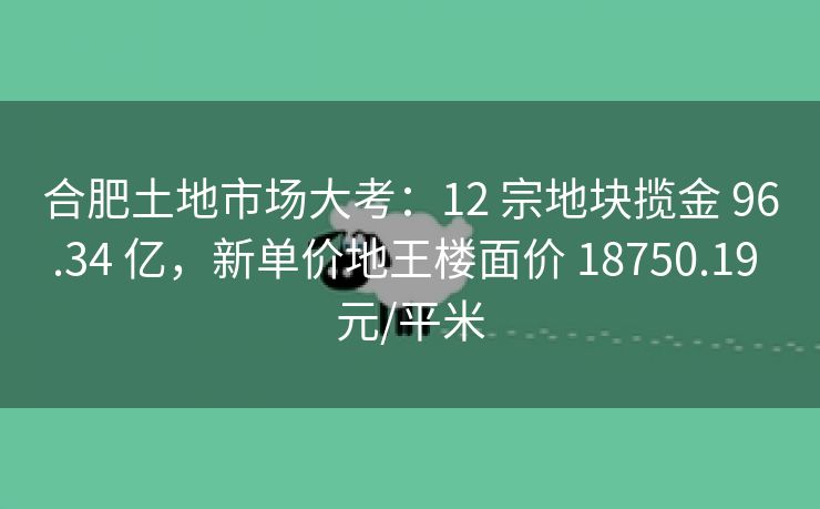 合肥土地市场大考:12 宗地块揽金 96.34 亿,新单价地王楼面价 18750.19 元/平米 合肥土地市场大考:12 宗地块揽金 96.34 亿,新单价地王楼面价 18750.19 元/平米