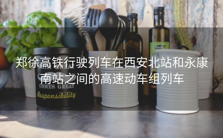 郑徐高铁行驶列车在西安北站和永康南站之间的高速动车组列车 郑徐高铁行驶列车在西安北站和永康南站之间的高速动车组列车