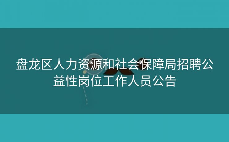 盘龙区人力资源和社会保障局招聘公益性岗位工作人员公告 盘龙区人力资源和社会保障局招聘公益性岗位工作人员公告