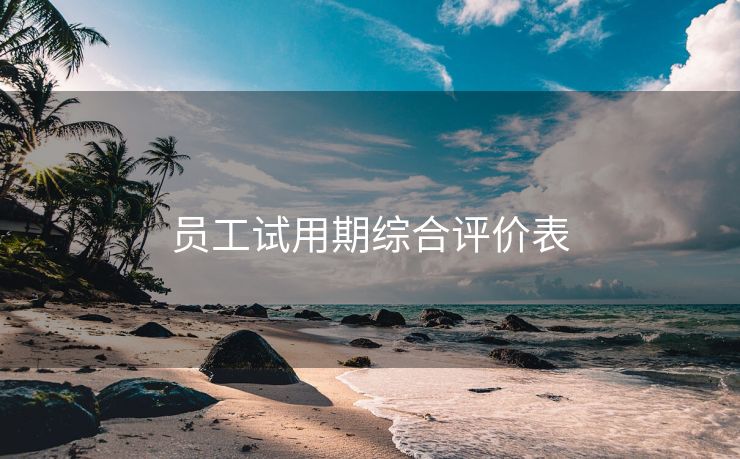 员工试用期综合评价表 员工试用期综合评价表