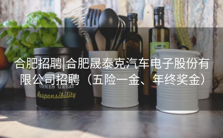 合肥招聘|合肥晟泰克汽车电子股份有限公司招聘(五险一金、年终奖金) 合肥招聘|合肥晟泰克汽车电子股份有限公司招聘(五险一金、年终奖金)