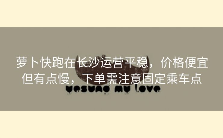 萝卜快跑在长沙运营平稳，价格便宜但有点慢，下单需注意固定乘车点