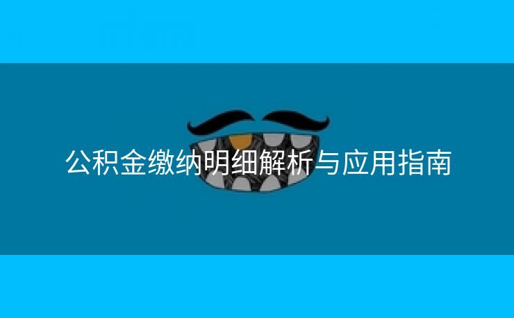 公积金缴纳明细解析与应用指南