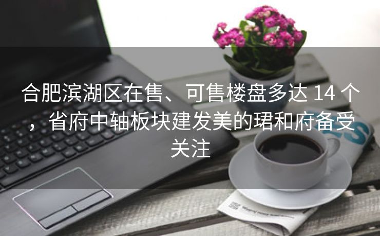 合肥滨湖区在售、可售楼盘多达 14 个,省府中轴板块建发美的珺和府备受关注 合肥滨湖区在售、可售楼盘多达 14 个,省府中轴板块建发美的珺和府备受关注