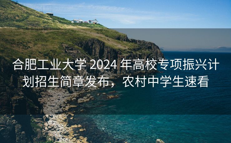 合肥工业大学 2024 年高校专项振兴计划招生简章发布,农村中学生速看 合肥工业大学 2024 年高校专项振兴计划招生简章发布,农村中学生速看