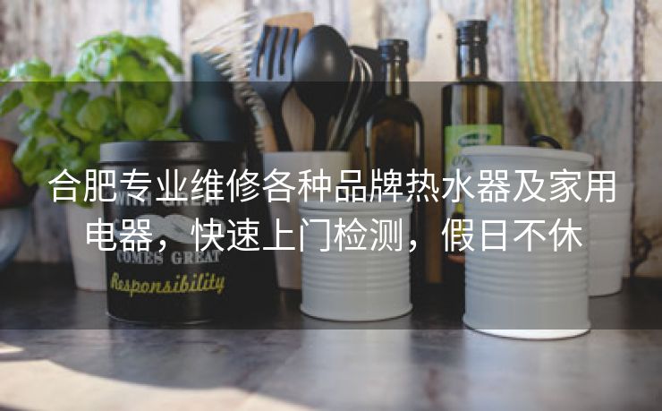 合肥专业维修各种品牌热水器及家用电器,快速上门检测,假日不休 合肥专业维修各种品牌热水器及家用电器,快速上门检测,假日不休